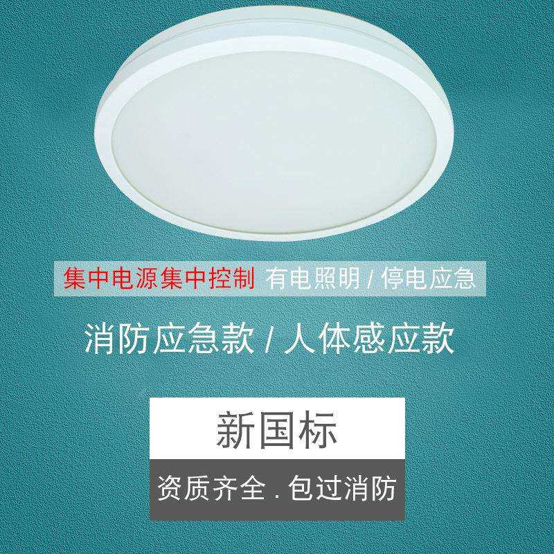 振辉36V低压智能吸顶灯LED过道走廊灯具楼梯灯雷ZF-ZFJC-E7W-8332