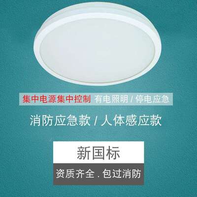 振辉36V低压智能吸顶灯LED过道走廊灯具楼梯灯雷ZF-ZFJC-E7W-8332