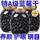 长白山野生蓝莓干无糖无添加蜜饯蓝莓果大兴安岭大颗粒烘培小零食