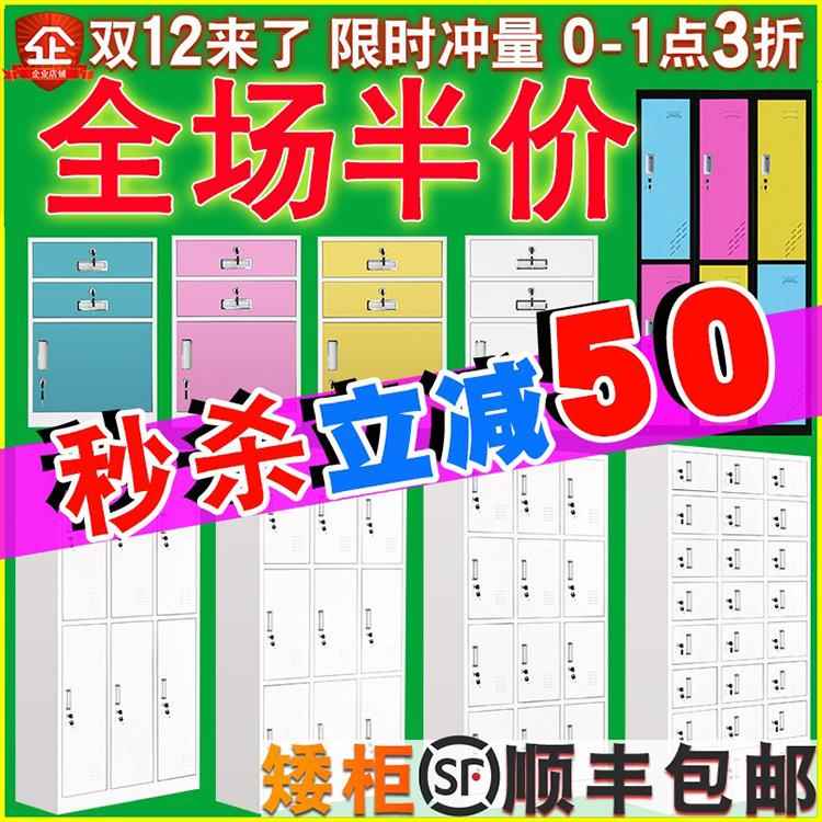 钢宿舍铁储物柜彩色员工储物柜不锈钢袋储物柜办公室单门低柜
