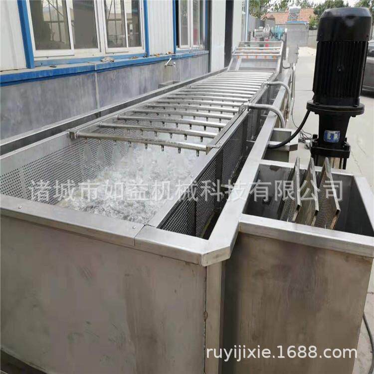 源头工厂辣木籽去泥去杂清洗机实用辣木籽清洗设备气泡果蔬清洗