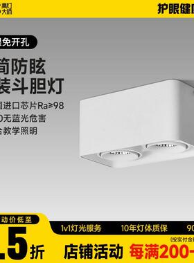 全铝明装双头斗胆灯豆胆射灯筒灯白色盒子灯LED后现代COB客厅智能