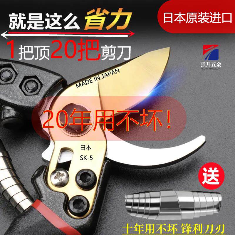 新款修枝剪强力SK5园林果树花艺剪园艺大号粗枝剪刀图片