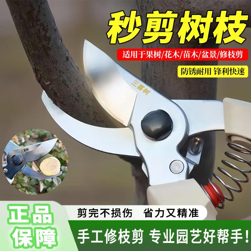 三喜树剪刀家用剪刀修枝剪果树园林园艺专用花剪修花剪枝剪刀锋利图片