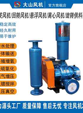 厂家直销大山罗茨回转风机配件污水处理DSSR三叶罗茨风机氧化风机