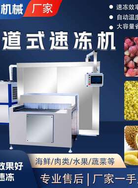 商用冰冻草莓黄桃全自动速冻设备大型果蔬丁低温隧道式速冻机