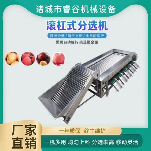 全自动滚杠式分选机 果蔬直径大小分选机器 核桃荔枝分选设备