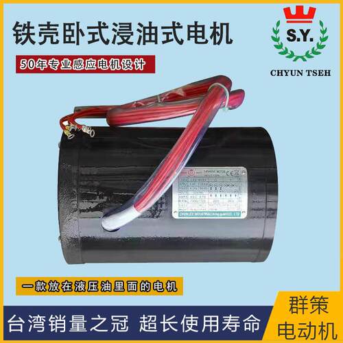 SY群策浸PSM油马专达三相异电机动液压步用单相电机