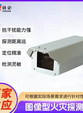 跨境清监控图像型火灾探测器隧道大空间火灾图像双波段探测器