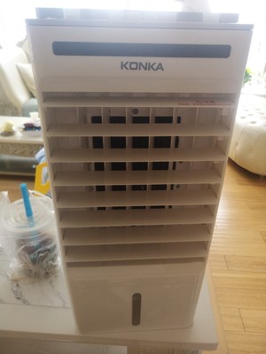 选择康佳和TCL这两个牌应该选哪个？原因理由是？