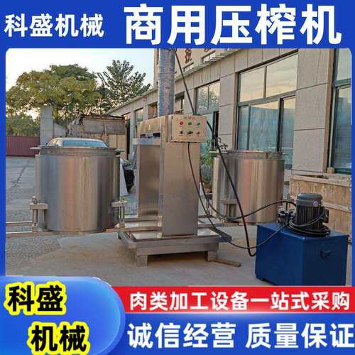 果汁压榨机 贵州刺梨鲜果榨汁机 生姜大蒜粉碎泥浆原汁压榨机