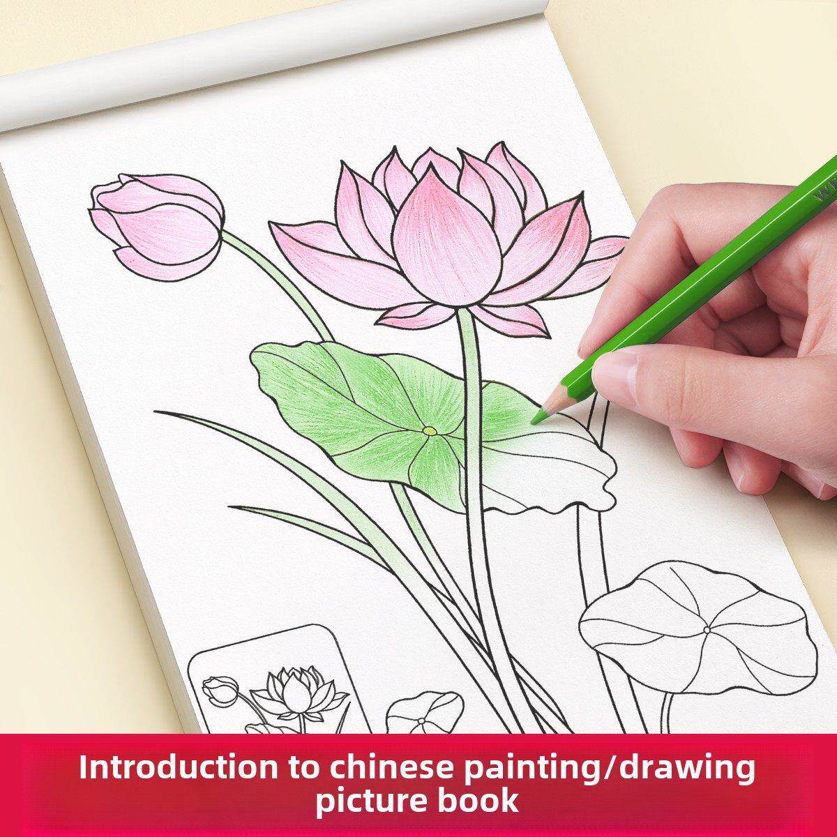 《中国画导论》儿童线描临摹画册描画画册绘画绘本上色零基础自学