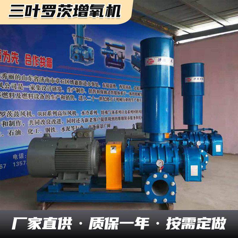 厂家供应鱼塘氧机水产养殖氧输送罗茨风机低噪音氧机风机