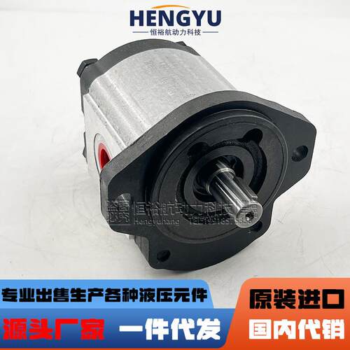 罗茨液压泵RONZIO齿轮泵05ZAG 01ZAG 02ZAG泵 02ZCG 03ZAG35油泵