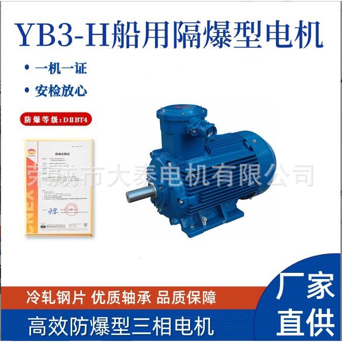 山东大泰众泰YB3-H船用隔爆型国标全铜防爆立式出口跨境马达电机