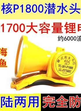 四核潜水头灯P1800水下抓鱼超亮防水灯赶海手电筒防灾防汛抗洪