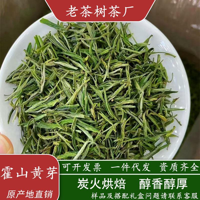 2025新茶霍山黄芽茶叶绿茶厂家直销500g散装茶叶礼盒送人可选图片