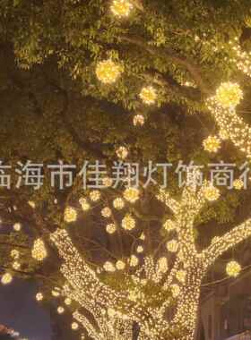 新款直销led户外挂树藤球灯彩灯闪灯串灯满天星圆球灯圣诞街道亮