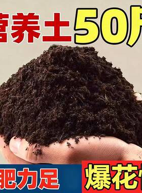 有机营养土通用型绿植养花种菜种植土盆栽腐殖泥炭土家用50斤大包
