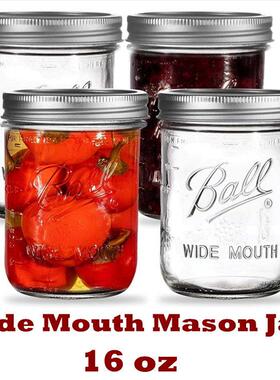 Wide Mouth Mason Jars Pint Size Jars