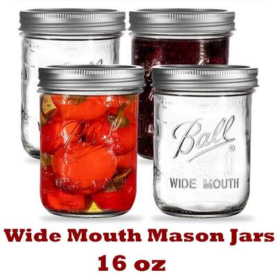 Wide Mouth Mason Jars Pint Size Jars