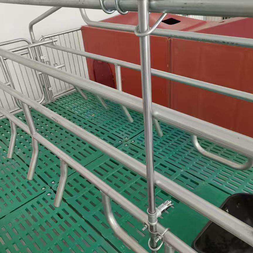 厂家现货母猪复合产床猪用产保两用双体产床母猪分娩栏全复合 仔