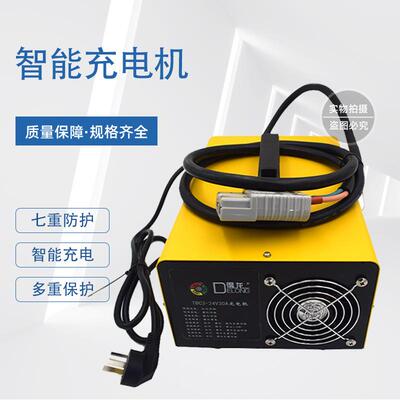 厂家直供叉车充电机得龙加液(220V)24V/30AUMA160A/SMH75A电动