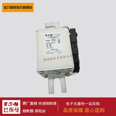熔断器170M5973170M5974170M5975170M8614170M8615170M8616