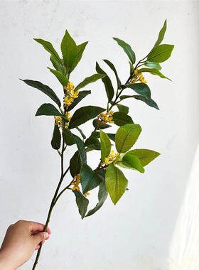 仿真桂花叶插花摆件道具常青月桂支工程酒店装饰树叶家居软装假花