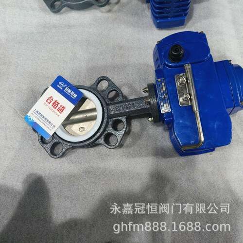 腐蝶蚀对夹电动冠桓2阀 D防971F46-16C DN15
