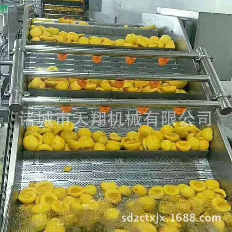 苹果清洗机设备果蔬清洗输送流水线果蔬清洗机售后保障