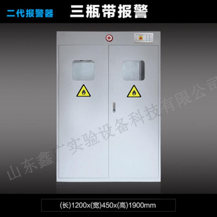潍坊实验室家具 全钢气瓶柜双瓶单瓶实验室防爆报警器钢瓶柜