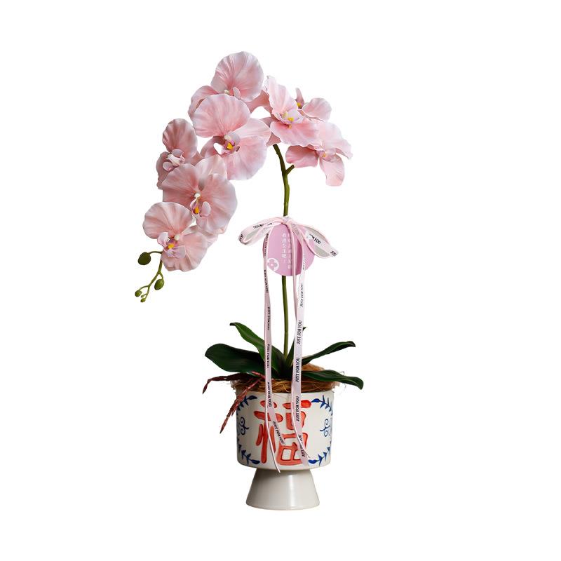 新中式蝴蝶兰带青花瓷花瓶仿真绿植盆景摆件客厅民宿电视柜装饰品图片