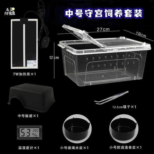 守宫饲养盒中号爬虫爬宠蜘蛛蝎子蜥蜴乌龟角蛙饲养盒套盒加热垫