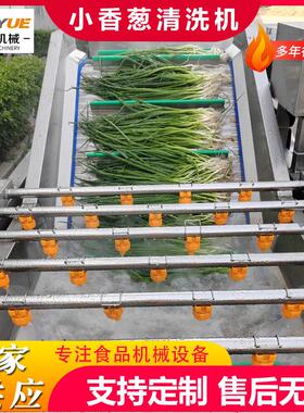 工用果叶FPB蔬气泡清备洗机设艾草气泡清洗机茶鼓泡厂翻浪清洗机