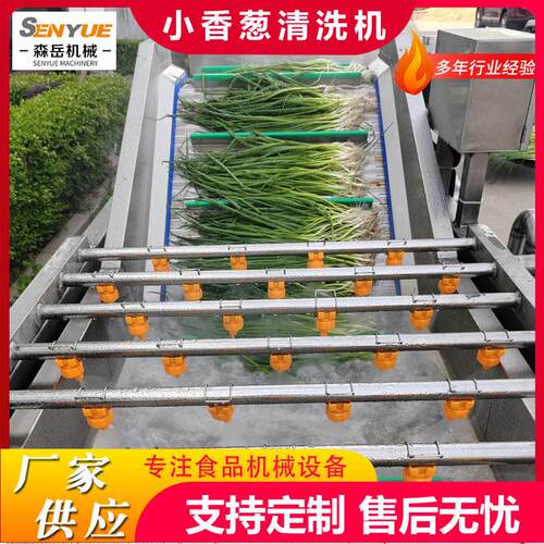 全自动果蔬气泡清洗机鲜毛豆气泡翻浪清洗机竹笋清洗机去泥沙设备