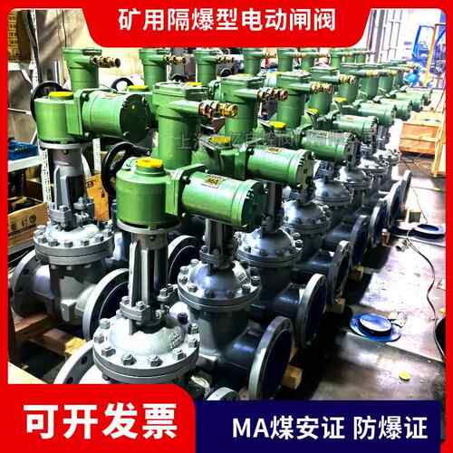 攻亿 矿用隔爆型电动闸阀 RS485通讯控制 MKZ941H-40C DN150