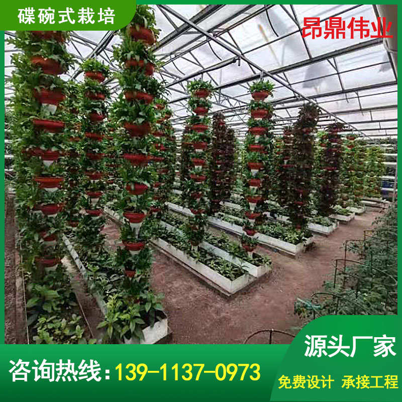 无土栽培种植定制展厅植物室内工厂水培校园蔬菜种菜可架家庭大棚