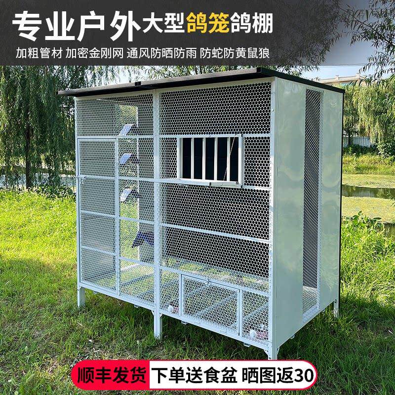 鸽子笼鸽舍鸽棚大号家用鸽笼大型鸟笼鹦鹉笼特大养殖繁殖专用笼子