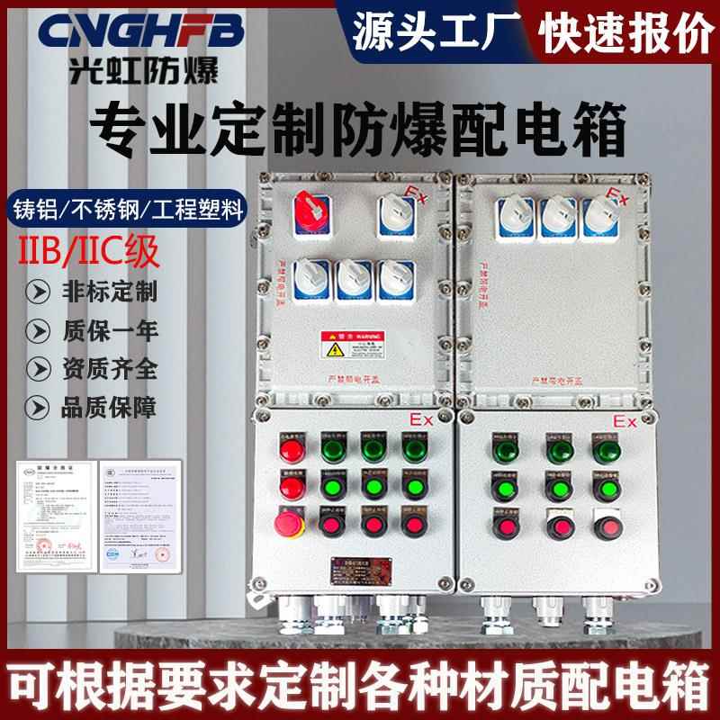 防爆配电箱照明动力检修电源插座箱气体粉尘双防爆仪表开关控制柜