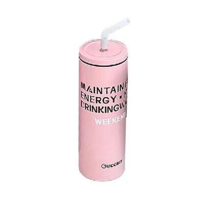 Stainless Steel Insulated Tumbler With Straw & Lid Large