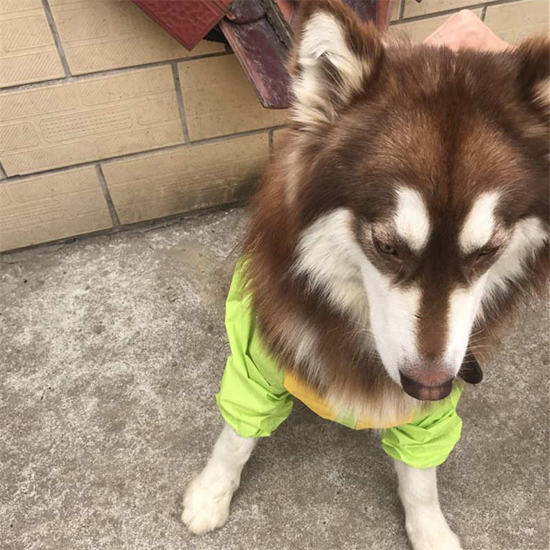厂家供应中大型犬宠物雨衣防水四脚雨衣宠物服装全包连帽雨衣户外