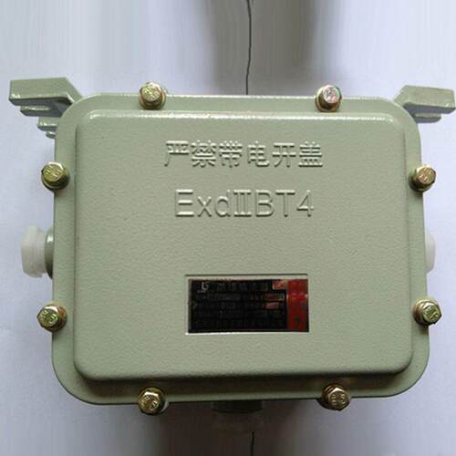 防爆整流器箱 防爆镇流器 BAZ51-125w 250W 400W空箱体BZA