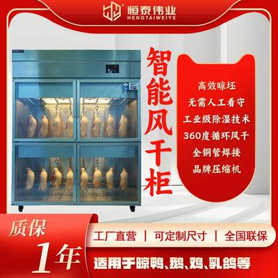 晾坯柜商用智能晾鸭柜北京烤鸭烧鸭风干除湿保鲜柜烧腊乳鸽风干柜