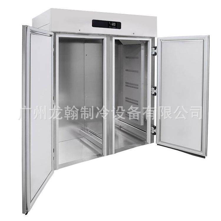 40盘推车式速冻柜 商用急速冷冻机 大产量鸡柳羊肉牛肉串速冻柜