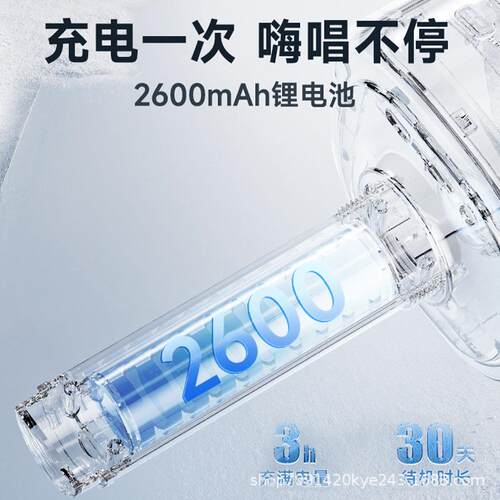 H9话筒音响一体麦克风户外家用K歌无线音箱声卡唱歌ktv直播用