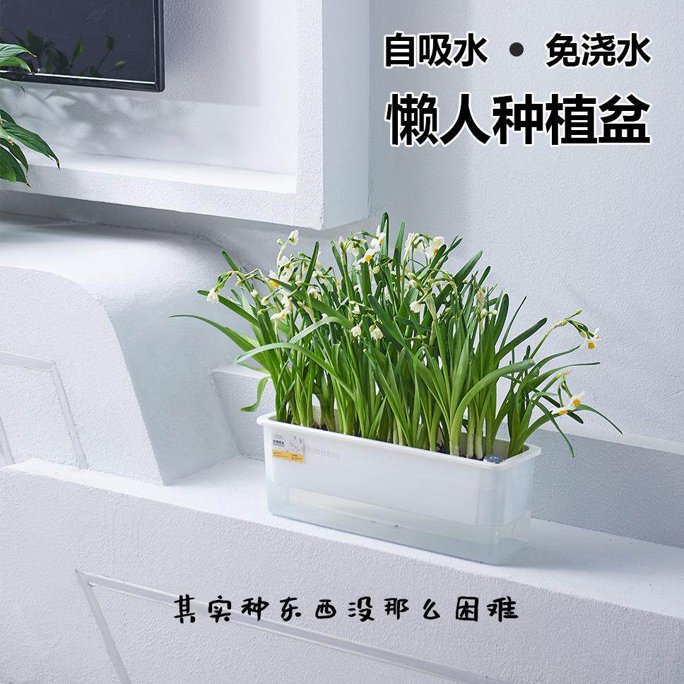 桌面纯白迷你塑料花盆自吸水小型家庭阳台长方形自栽简约种植多肉