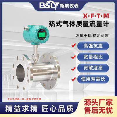 高精度热式气体质量流量计压缩空气天然气氧气氮气空气流量表