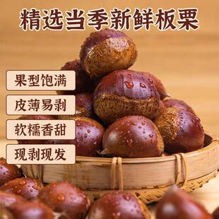 新鲜大板栗生栗子5斤嫩毛粟子大果当季带壳油锥丹东板栗