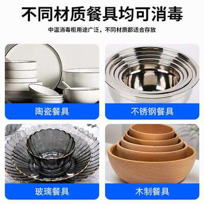 史蒂芬Stevison 单门全无磁热风消毒柜SDF-RTP688A1 温度可调650L